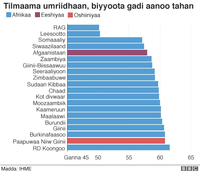 Biyyoota gadaanoo tahan