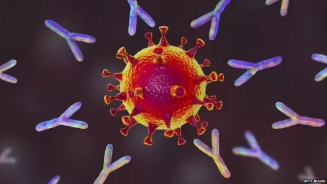 कोरोना वायरस