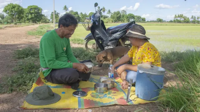 ปูเสื่อ ทานข้าว ริมผืนนา