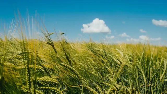 اوکراین و روسیه