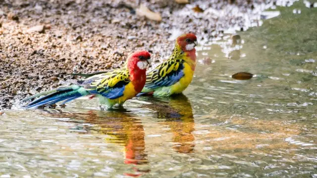 நீரும், நானும்: பிபிசி தமிழ் வாசகர்களின் புகைப்படத் தொகுப்பு