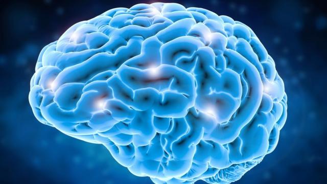 Cérebro pontos7games baixar o aplicativo baixardor