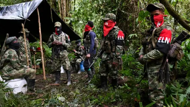 ліворадикали ELN