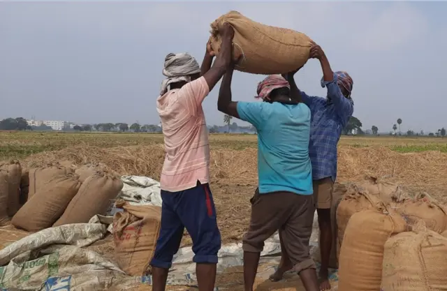 ధాన్యం బస్తాలు