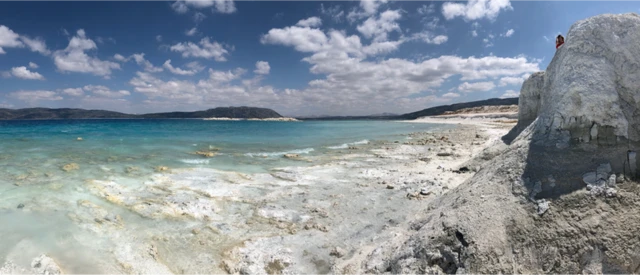 과학자들은 호주에서 34억8000만 년전에 형성된 필바라 지역의 스트로마톨라이트 화석을 연구했다