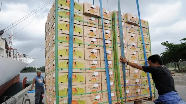 કેળાના ડબ્બા