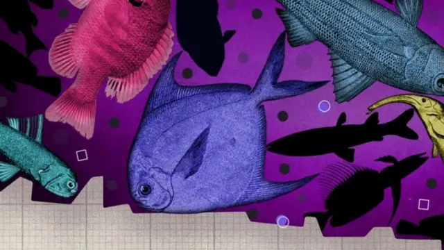 கடலில் வாழும் உயிரினங்கள் உடனடியாக இறந்துவிடும்.