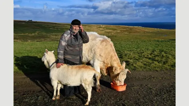 Foula