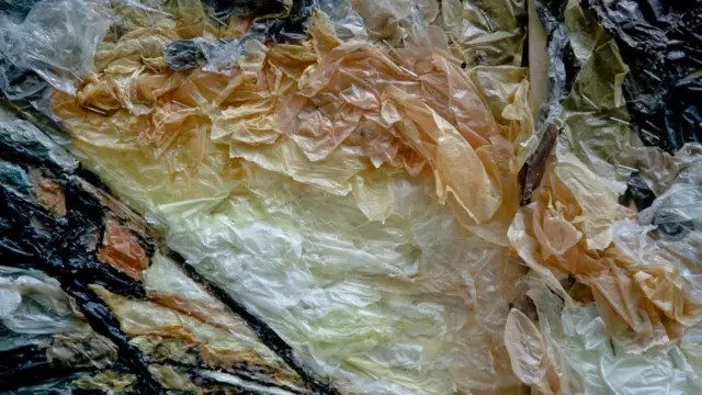 Chai-Khana layihəsindən