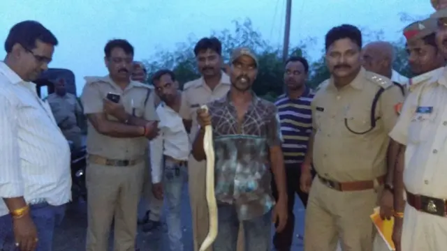 छोटू नागराज