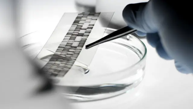 آزمایش دیانای