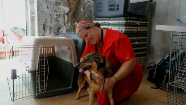 Анжела і собака