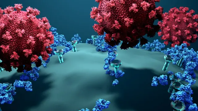 இந்தியாவில் ரீஇன்பெக்சன்