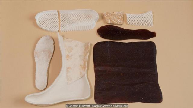 虽然靴子的绝大部分用菌丝体制成，白色的鞋底部分是3D打印单独成型的塑料。