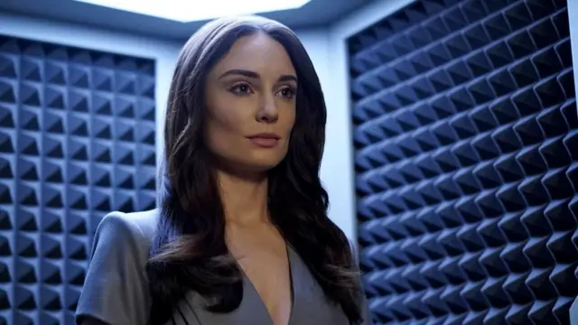 Фемботы, или гиноиды, пользовались популярностью у аудитории американского телевидения в прошлом десятилетии, в том числе благодаря сериалам "Звездный крейсер "Галактика"" и "Агенты "Щ.И.Т."