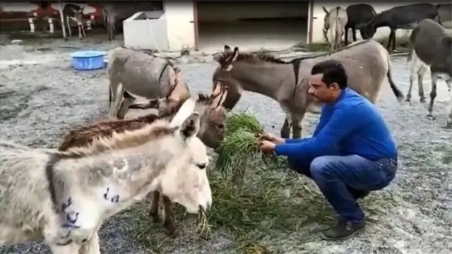 એનિમલ રેસ્ક્યુ ઑર્ગેનાઇઝેશનના સંસ્થાપક સચિવ સુરબાતુલા ગોપાલ