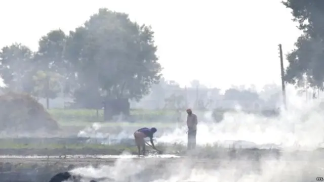 ਦਿੱਲੀ, ਪ੍ਰਦੂਸ਼ਣ, ਸਿਹਤ, ਪਰਾਲੀ