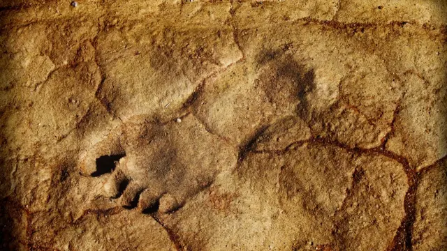 Una huella de un pie