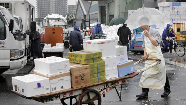 A fishmonger pushes a cart outside at the Tsukiji market