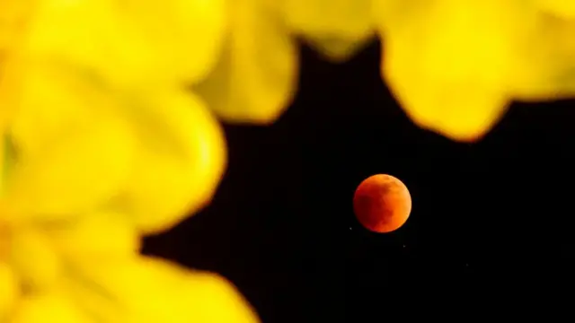 Таким кривавий супермісяць побачили в Мексиці