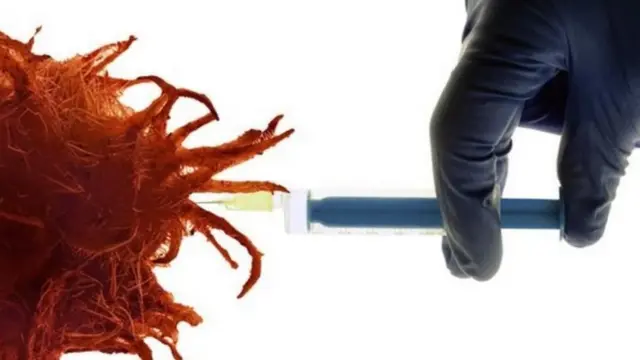 ভাইরাসটিতে পরিবর্তন ঘটিয়ে সেটি ক্যান্সারের সেলে ঢুকিয়ে দেওয়া হয়।