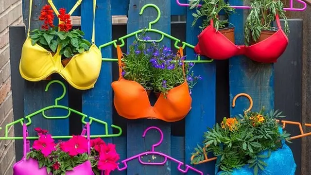 Sri Lanka: Pros & Cons of wearing bra