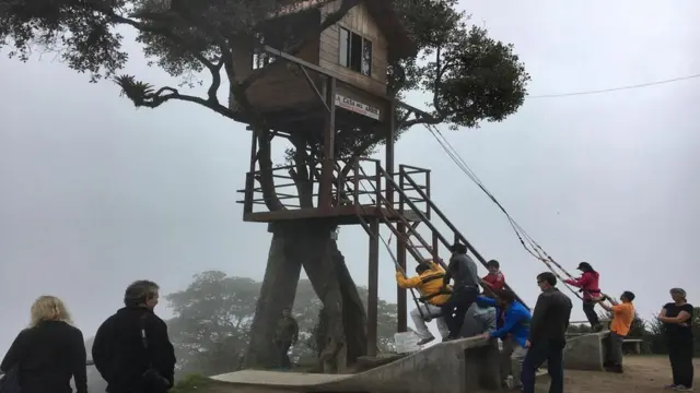 La Casa del Árbol (Foto: Eliot Stein)