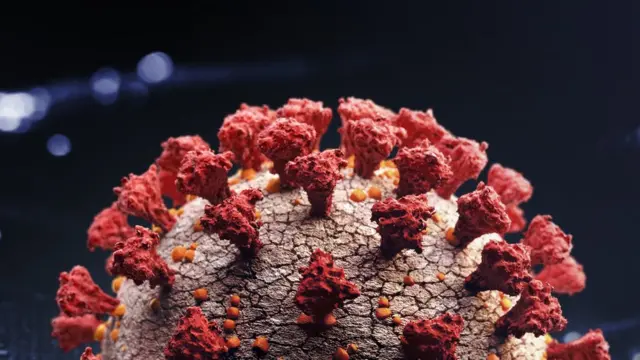 கொரோனா வைரஸ்