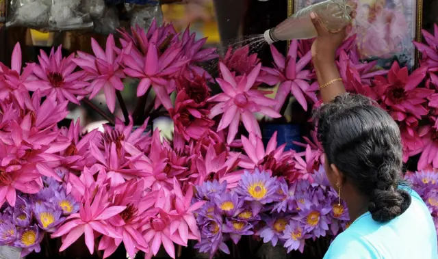 महिलाएं, स्वास्थ्य