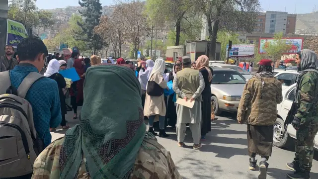 کابل لاریون