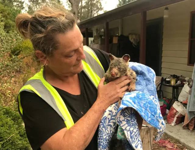 A volunteer holds a burnt brushtail possum