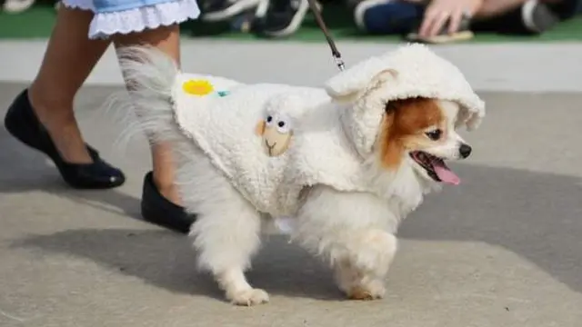 Coronavirus outbreak