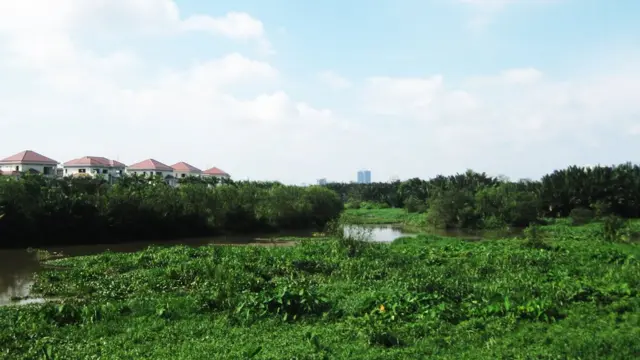 Đầu tháng 5 chính quyền TP.HCM thừa nhận "chưa tìm thấy" bản đồ quy hoạch tỷ lệ 1/5.000 khu đô thị mới Thủ Thiêm kèm theo Quyết định số 367/QĐ-TTg ngày 4/6/1996 của Thủ tướng.