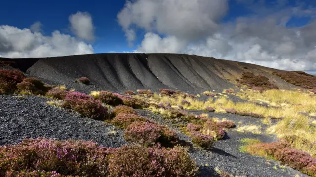 Бывший угольный отвал. Теперь он находится в национальном парке Брекон Биконс