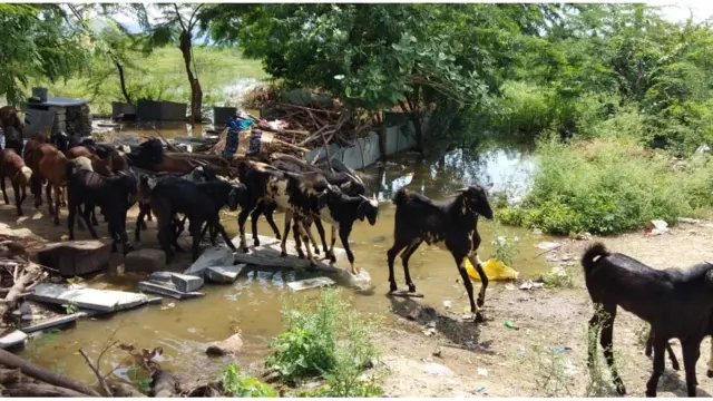గండికోట ముంపు గ్రామం తాళ్లప్రొద్దుటూరు