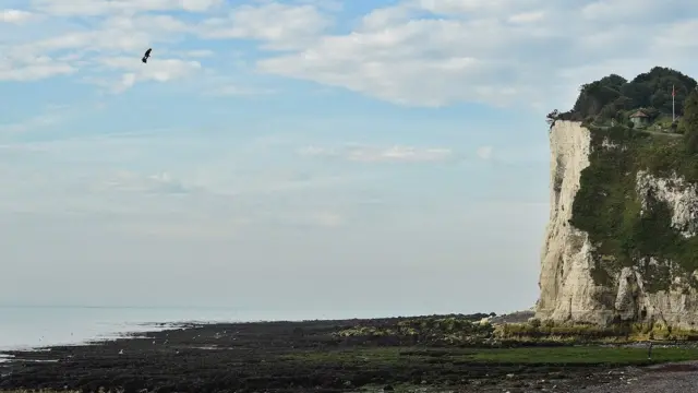 Момент приземления Фрэнки Запаты в Дувре