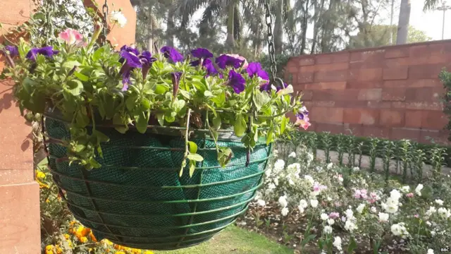 ਮੁਗਲ ਗਾਰਡਨ