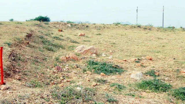 ஆதிச்சநல்லூர் அகழ்வாய்வுத் தலம்.