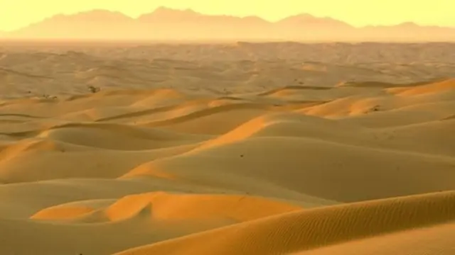 பாலைவனம்