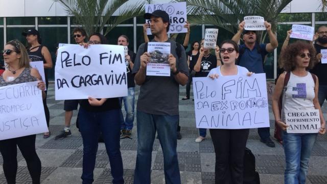protestosslot 818ativistas pelo direito dos animais