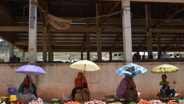 Dubartoota daldala qinxaabootti bobba'an