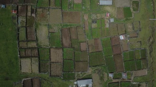 Aerial view of "the patches"