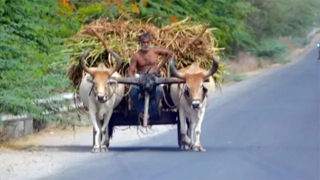 પ્રતીકાત્મક તસવીર