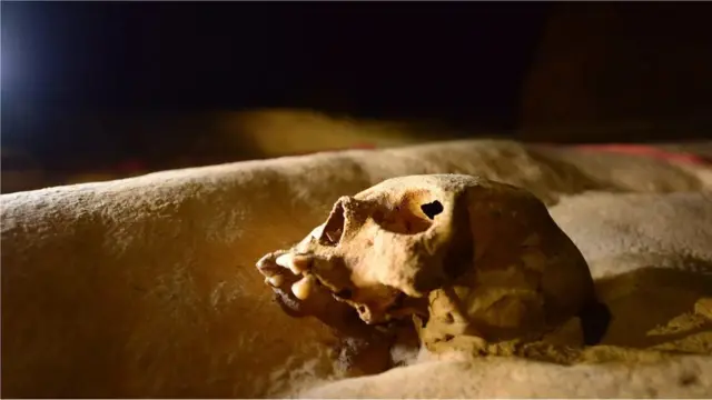 غار، مایا تہذیب