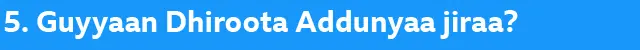 guyyaan dhiroota jira?