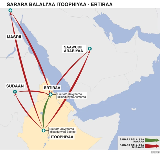 Sarara balali'aa haaraa Itiyoo-Ertiraa