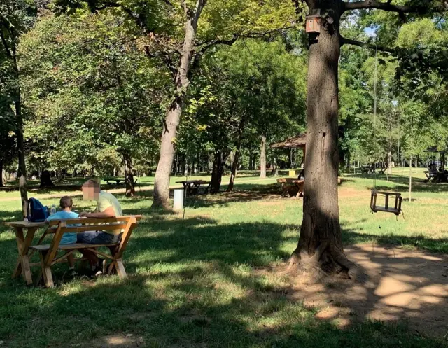 парк, тата и син, родитељи