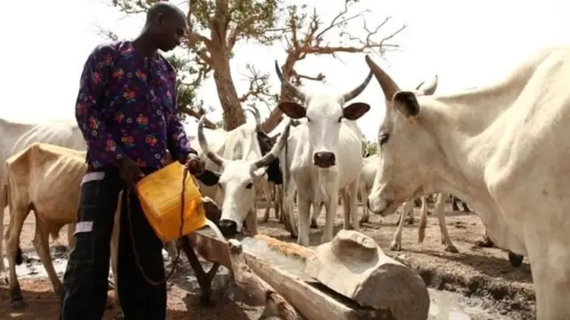 नाइजीरिया