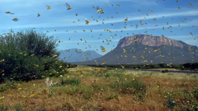 Eski ozbek porno filmlar