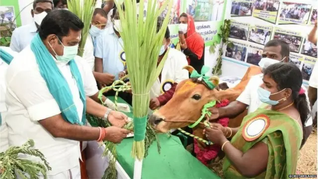 तामिळनाडूचे मुख्यमंत्री पलानीस्वामी